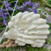 savon surgras herisson bel'olive