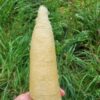 loofha entier